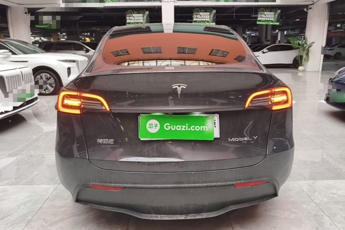 Tesla Model Y 2024 car image #6