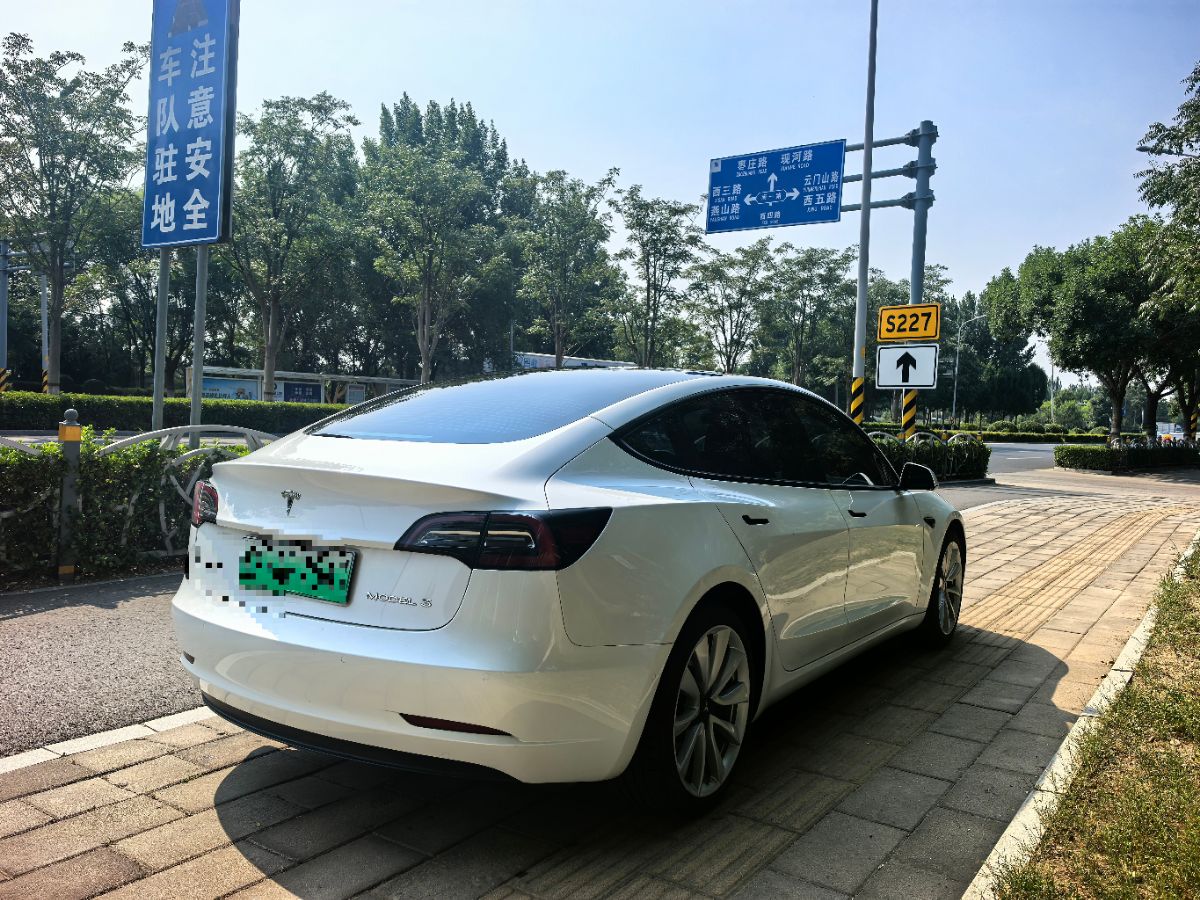 Tesla Model 3 2021 #3 Tesla Model 3 2021 car image #3
