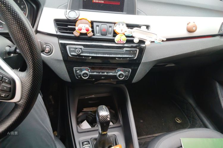 BMW X1 2018 car image #15