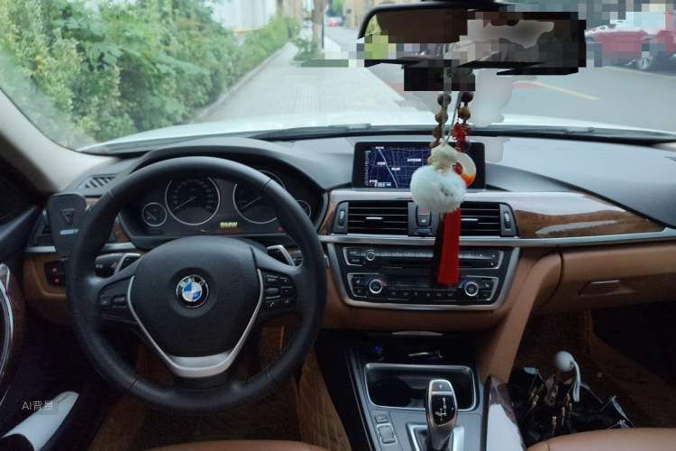BMW 3 Series 2014 car image #11