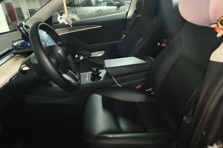 Tesla Model 3 2021 car image #19