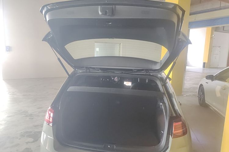 Volkswagen Golf 2020 car image #19