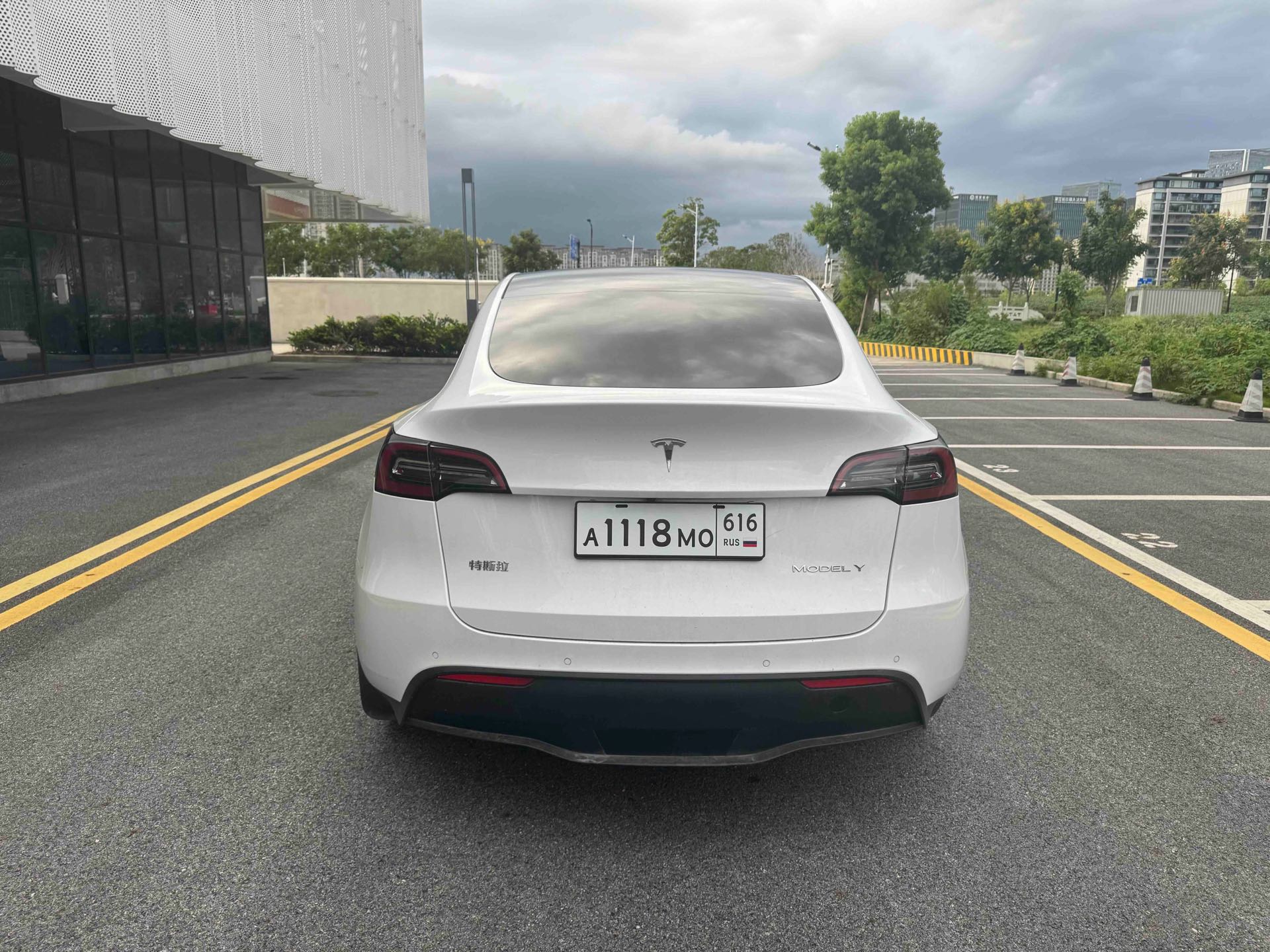Tesla Model Y 2021 #6 Tesla Model Y 2021 صورة سيارة #6