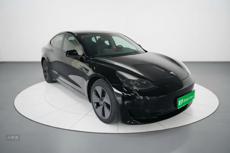 Tesla Model 3 2021 car image #4