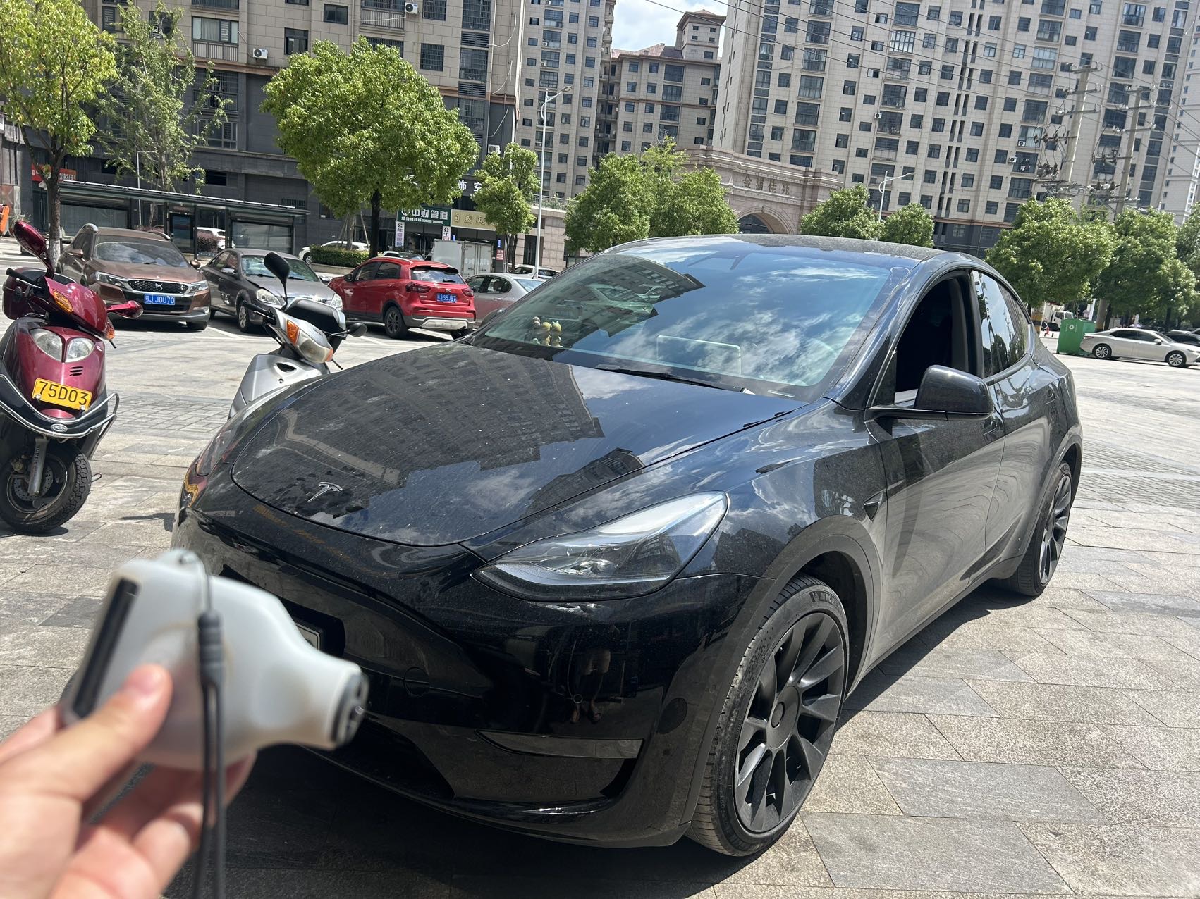 Tesla Model Y 2022 car image 