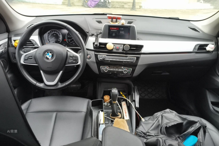 BMW X1 2019 car image #11