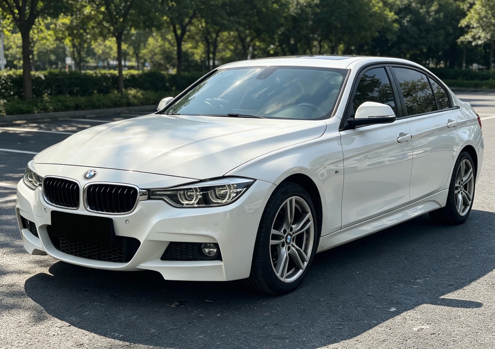 BMW 3 Series 2019 BMW 3 Series 2019 car image