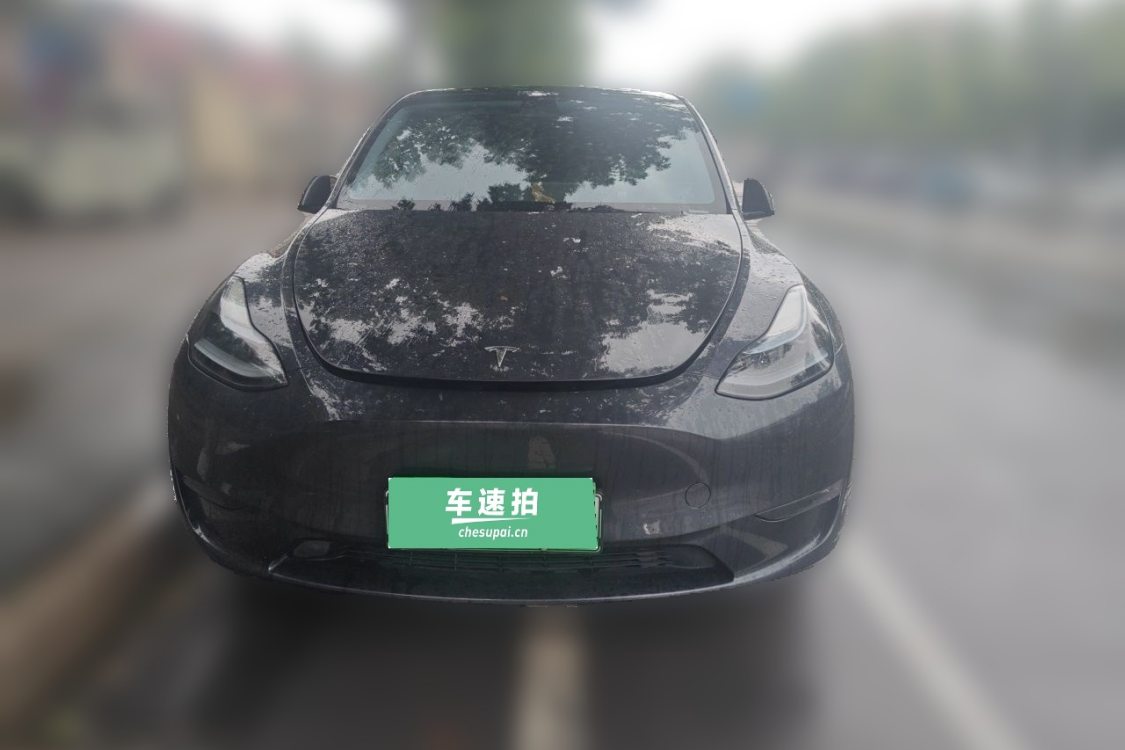 Tesla Model Y 2024 #5 Tesla Model Y 2024 car image #5