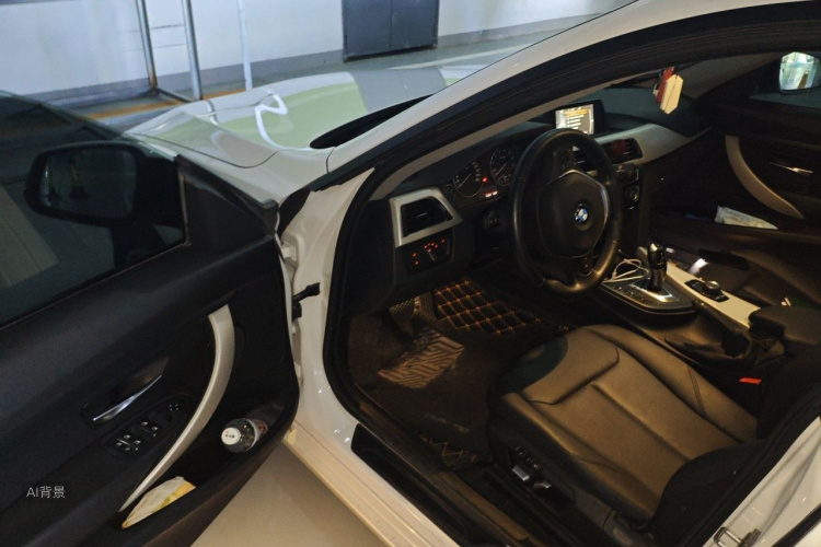 BMW 3 Series GT 2016 car image #18