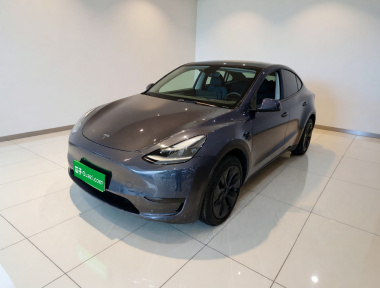 Tesla Model Y 2024 Tesla Model Y 2024 car image