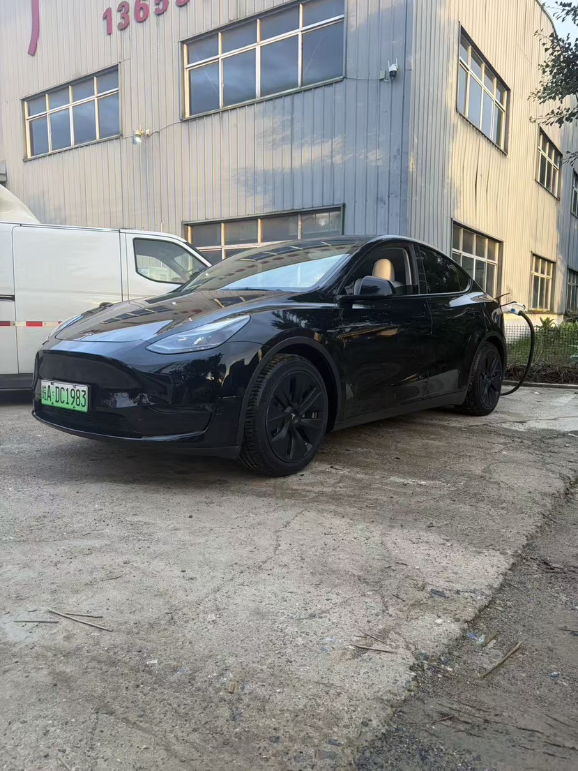 Tesla Model Y 2021 car image #3