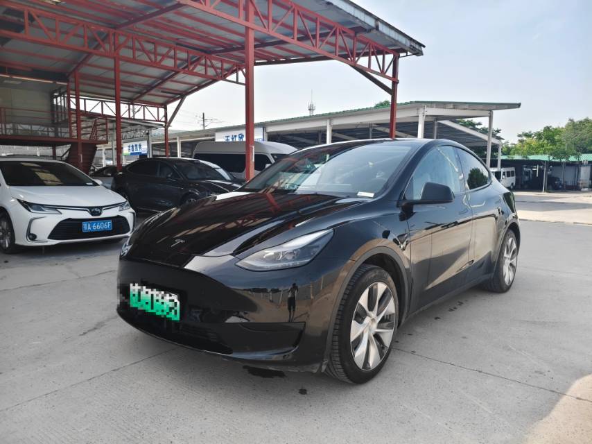 Tesla Model Y 2023 car image 
