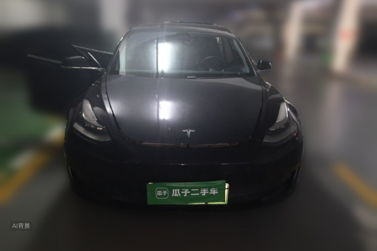 Tesla Model 3 2020 car image #3
