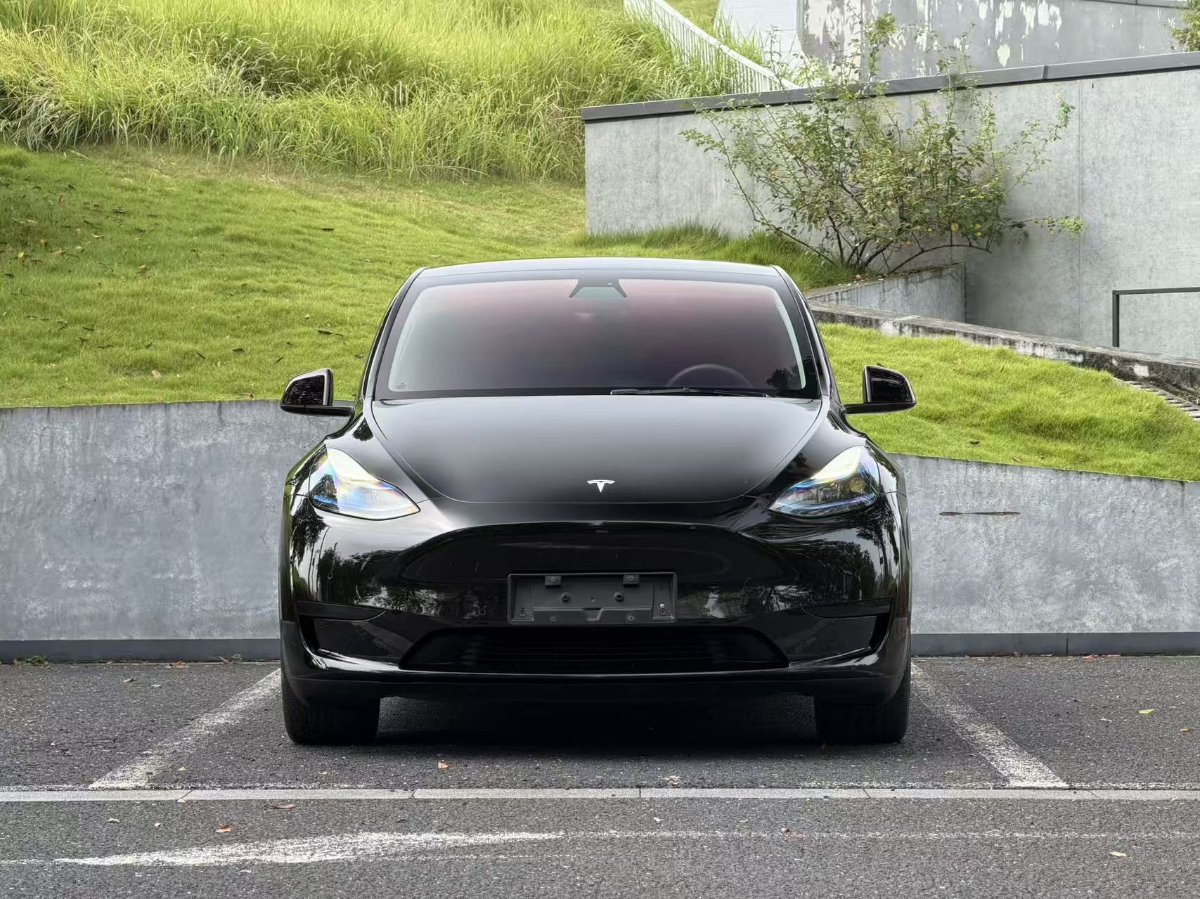 Tesla Model Y 2022 car image #2