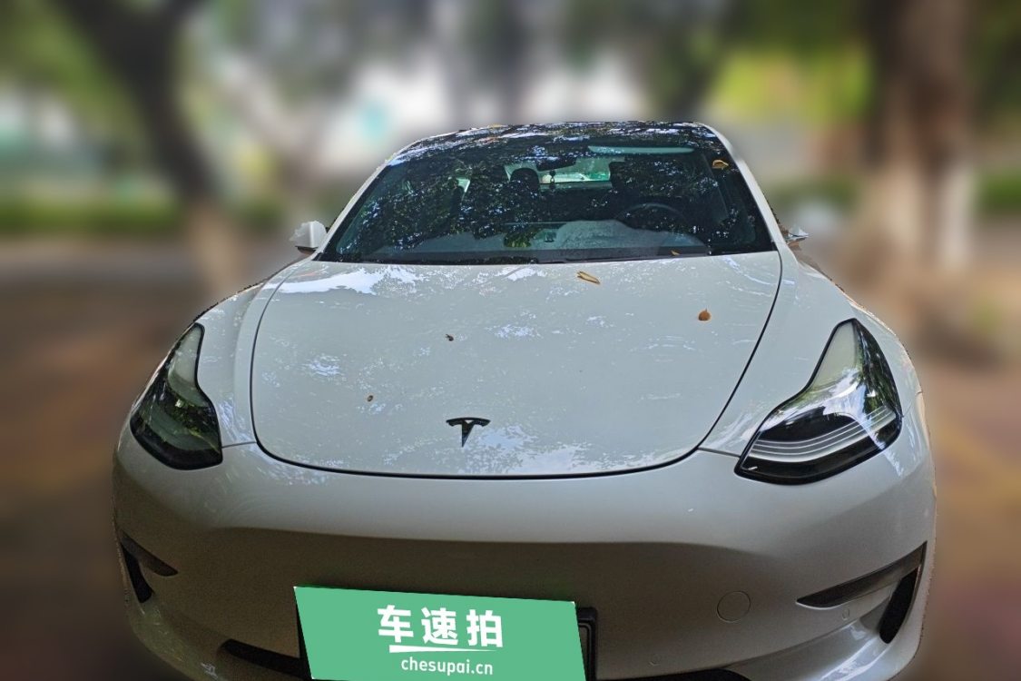 Tesla Model 3 2020 car image #5