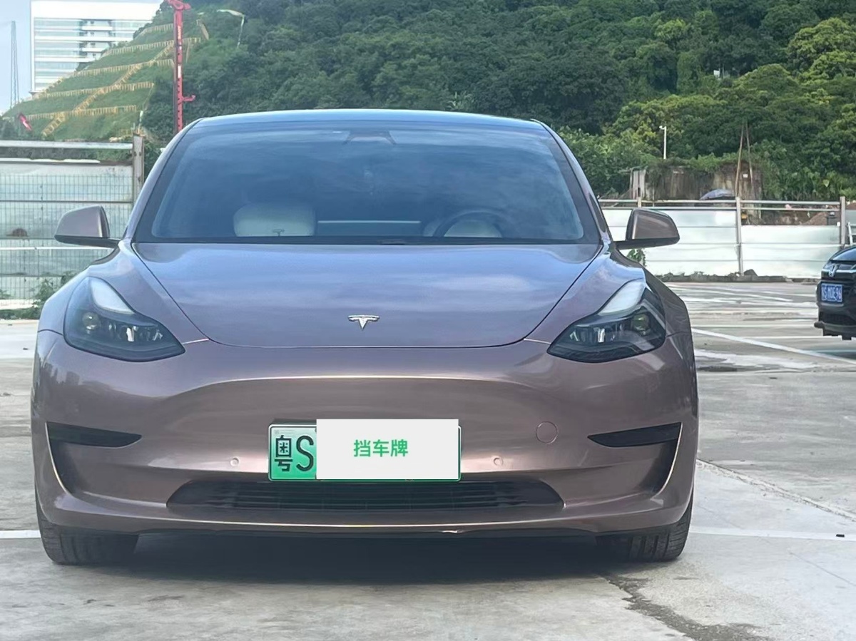 Tesla Model 3 2021 car image #7