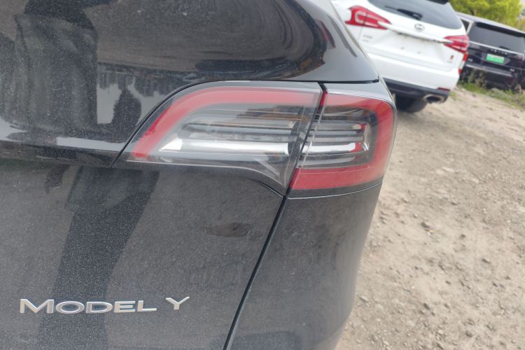 Tesla Model Y 2021 #8 Tesla Model Y 2021 car image #8