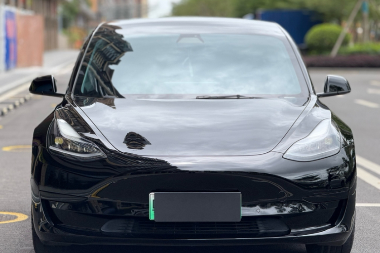 Tesla Model 3 2021 immagine di auto #6