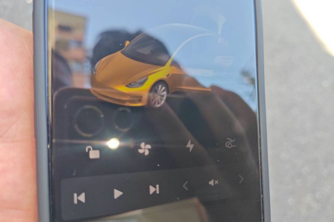 Tesla Model 3 2020 car image #30