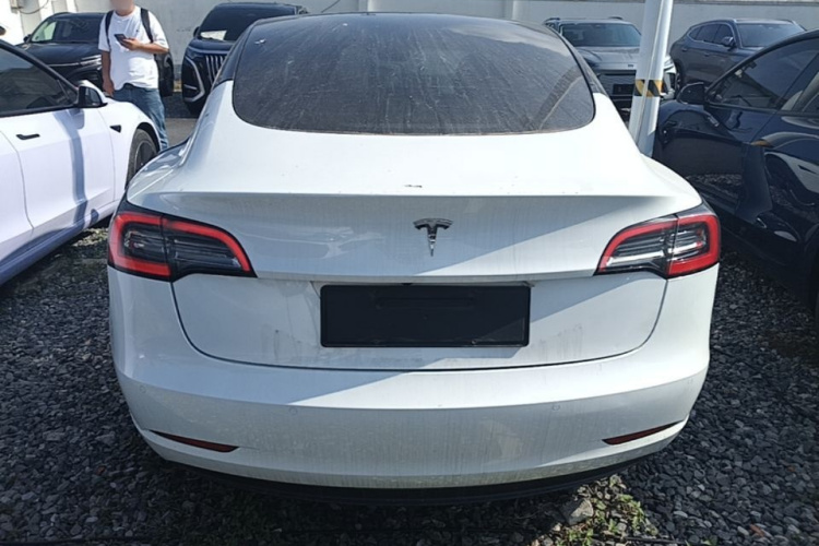 Tesla Model 3 2021 car image #6