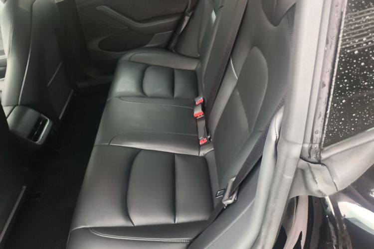 Tesla Model 3 2023 immagine di auto #17