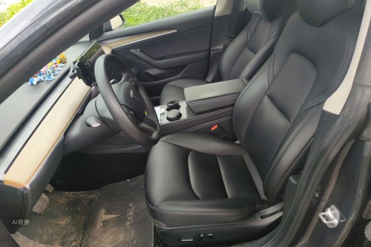 Tesla Model 3 2021 #17 Tesla Model 3 2021 car image #17