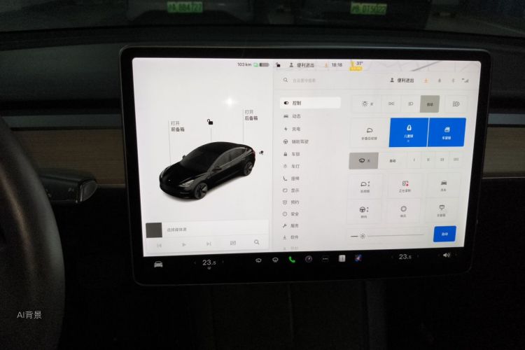 Tesla Model 3 2021 car image #13