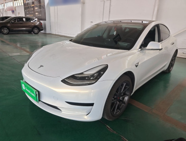 Tesla Model 3 2020 car image 