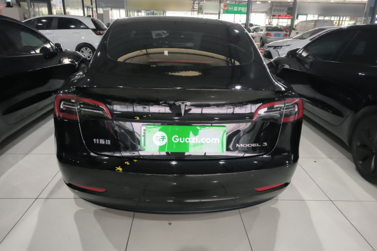 Tesla Model 3 2021 car image #6