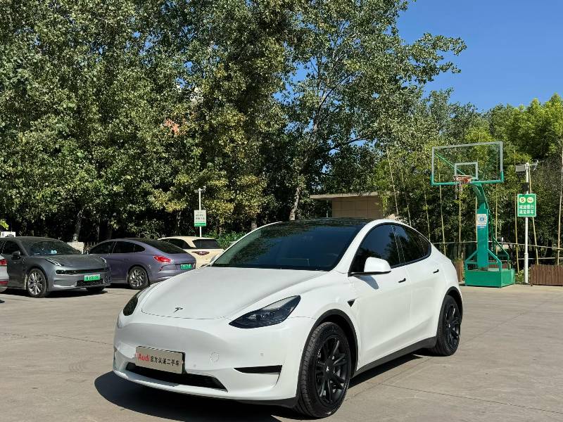 Tesla Model Y 2022 Tesla Model Y 2022 car image