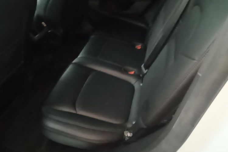 Tesla Model Y 2024 #17 Tesla Model Y 2024 car image #17