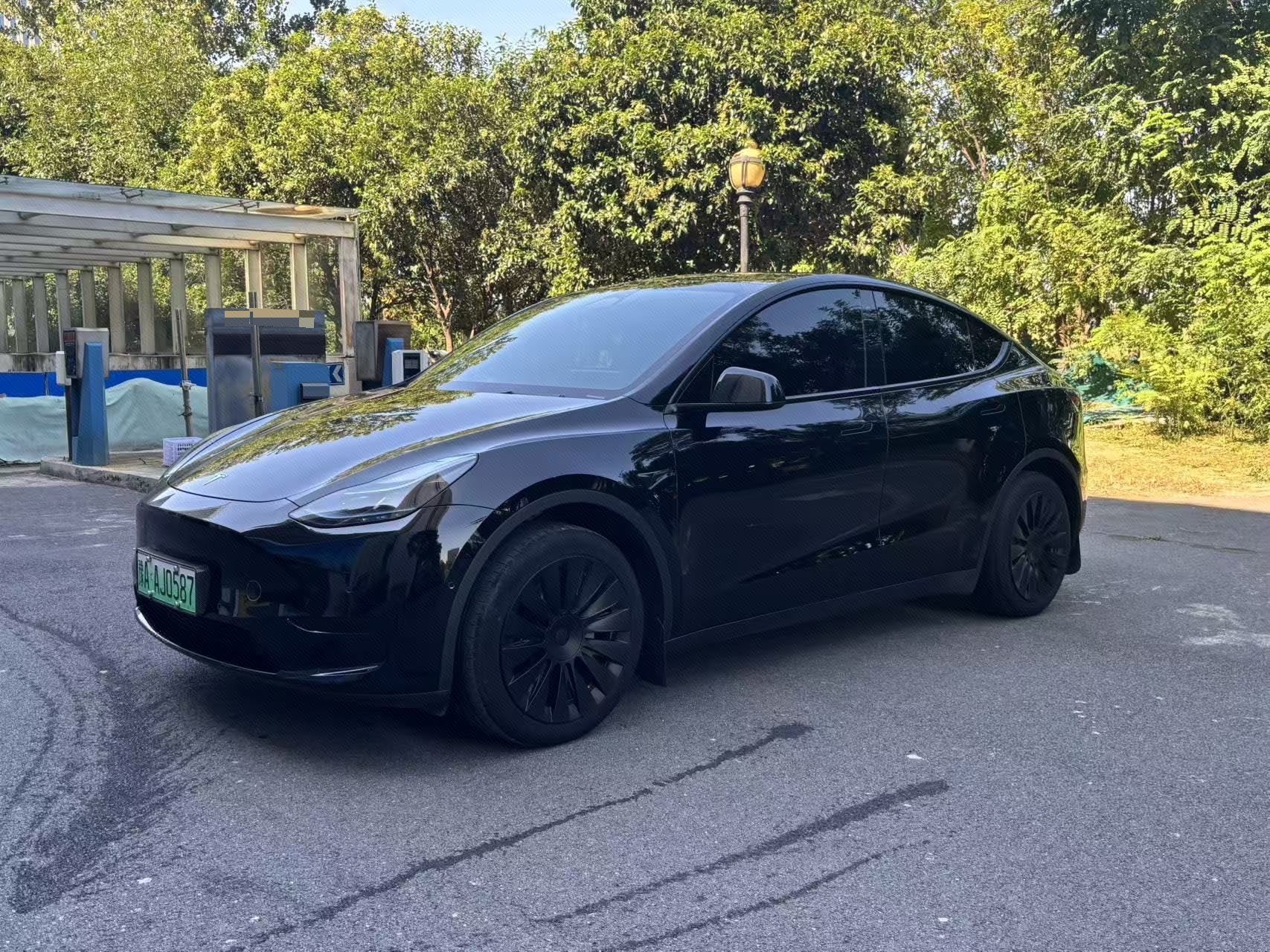 Tesla Model Y 2023 car image 