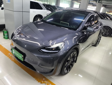 Tesla Model Y 2023 immagine di auto 