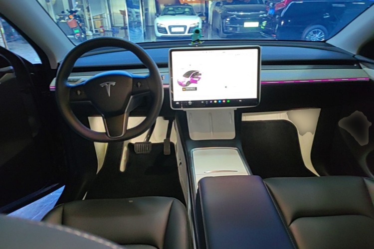 Tesla Model Y 2025 car image #10