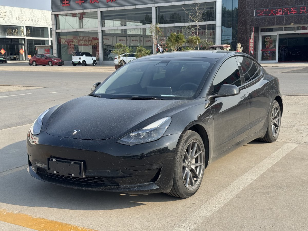 Tesla Model 3 2023 Tesla Model 3 2023 car image