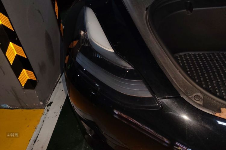 Tesla Model 3 2020 immagine di auto #8
