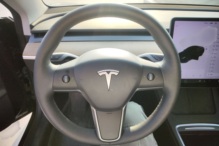 Tesla Model 3 2021 immagine di auto #11