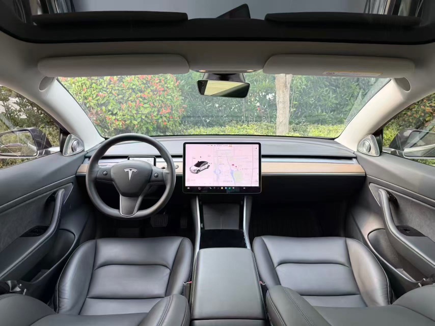 Tesla Model 3 2021 #8 Tesla Model 3 2021 car image #8