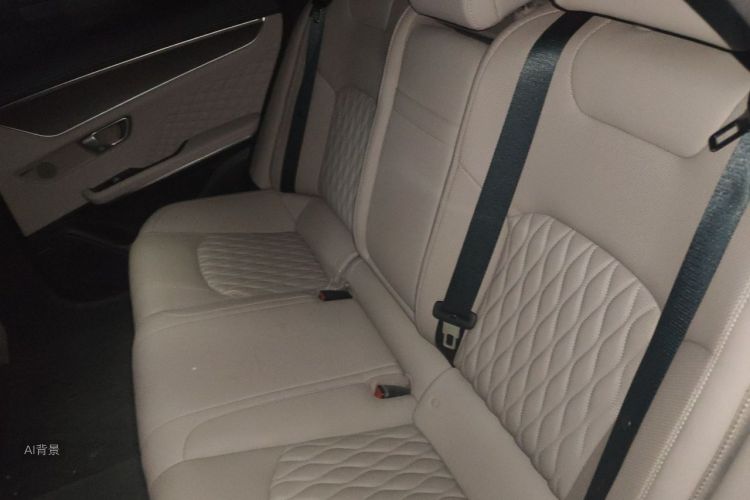 BYD Han 2024 car image #19
