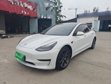 Tesla Model 3 2021 car image 