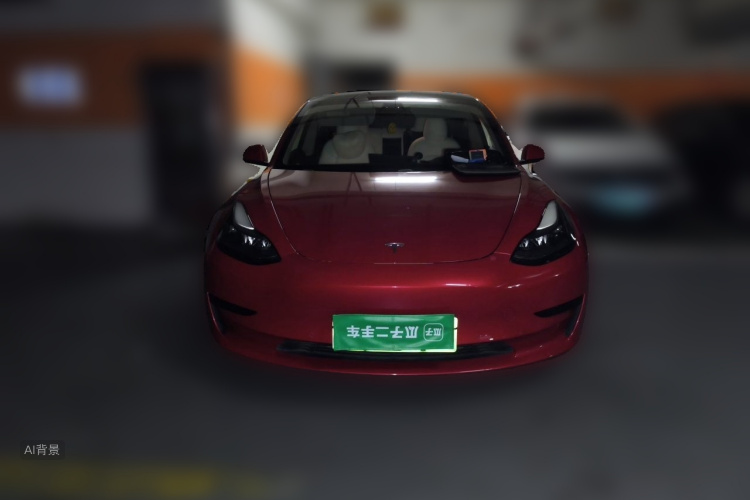 Tesla Model 3 2021 car image #3