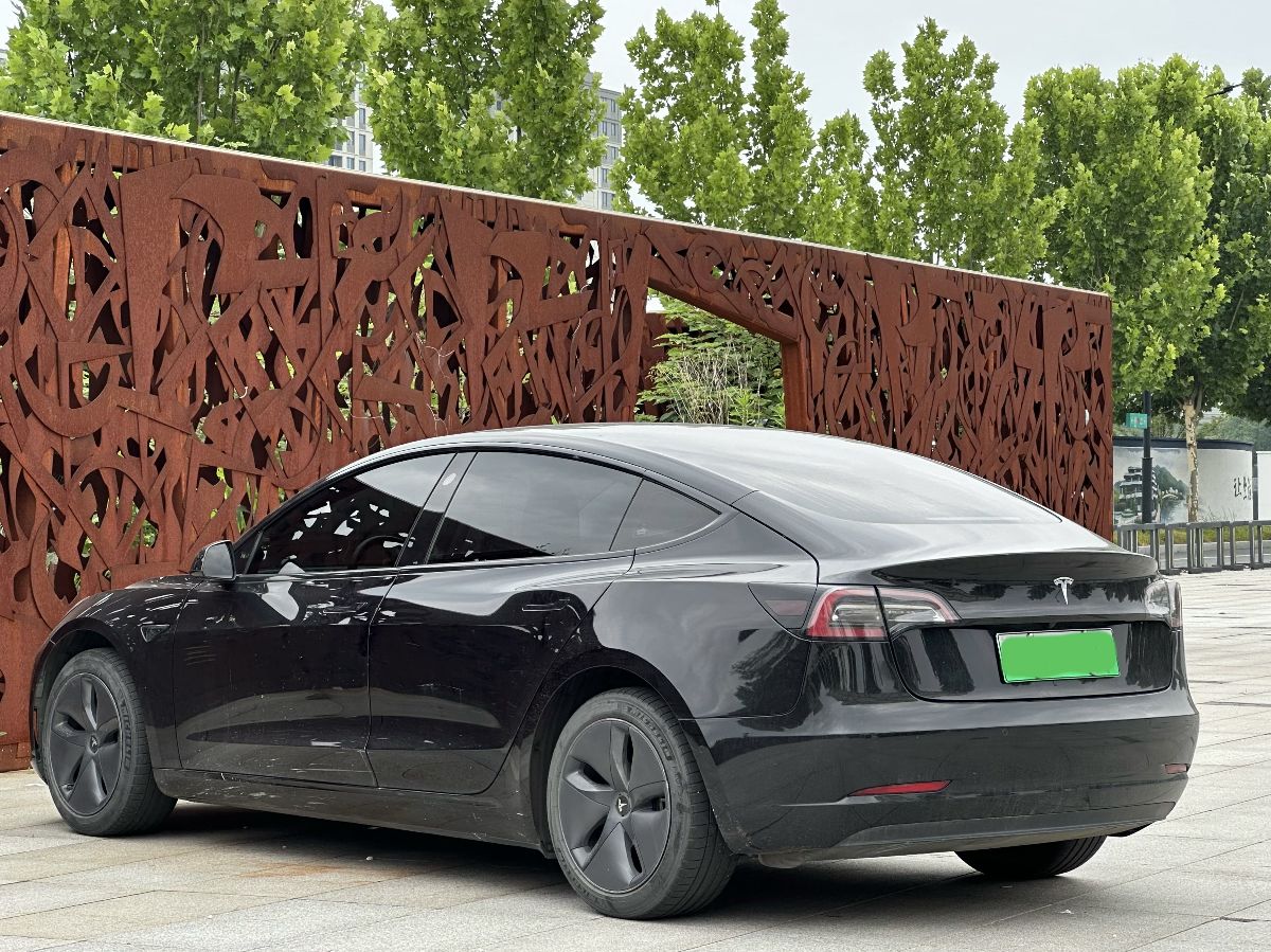 Tesla Model 3 2020 car image #5