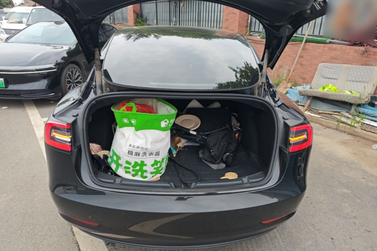 Tesla Model 3 2023 car image #19
