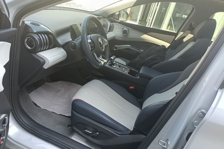BYD Yuan Plus 2022 car image #16