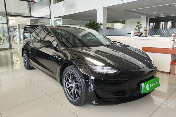 Tesla Model 3 2021 car image #4