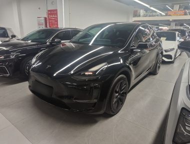 Tesla Model Y 2024 immagine di auto 