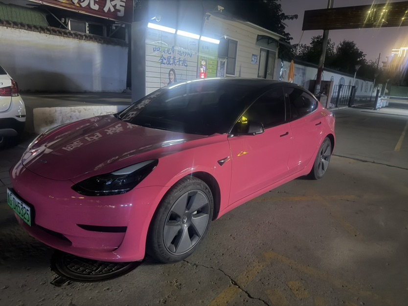 Tesla Model 3 2021 Tesla Model 3 2021 car image