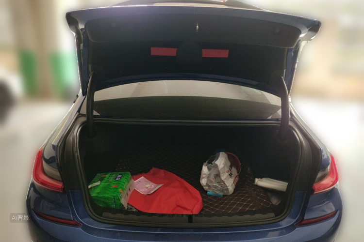 BMW 3 Series 2020 car image #21