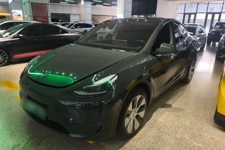 Tesla Model Y 2021 #2 Tesla Model Y 2021 car image #2