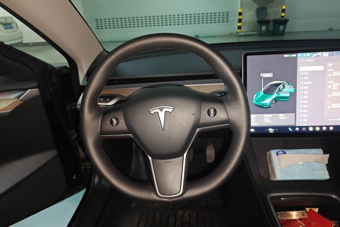 Tesla Model 3 2021 #22 Tesla Model 3 2021 imagen de coche #22